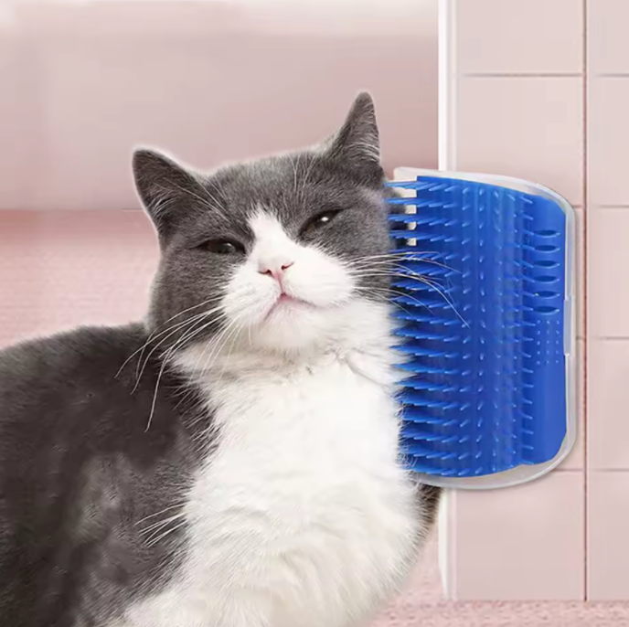 Cat Brush / Massager