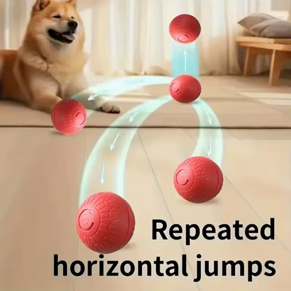 Electronic Toy Ball