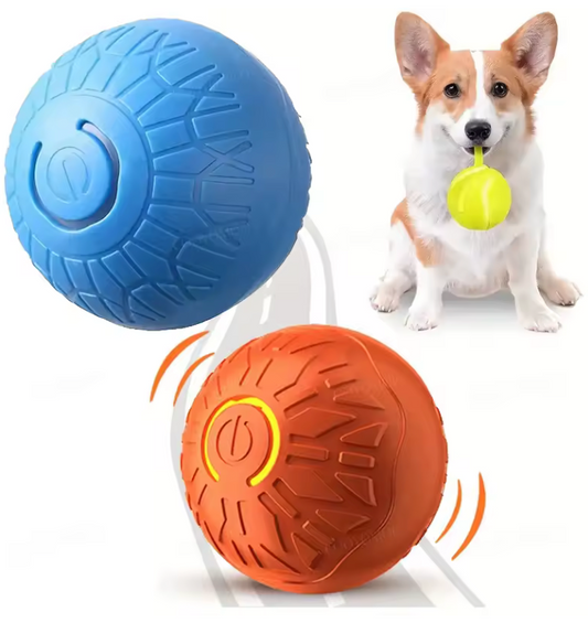 Electronic Toy Ball