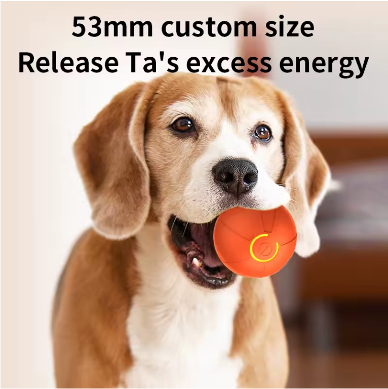 Electronic Toy Ball