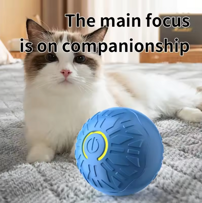 Electronic Toy Ball