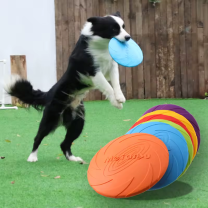 Dog Frisbee
