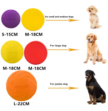 Dog Frisbee