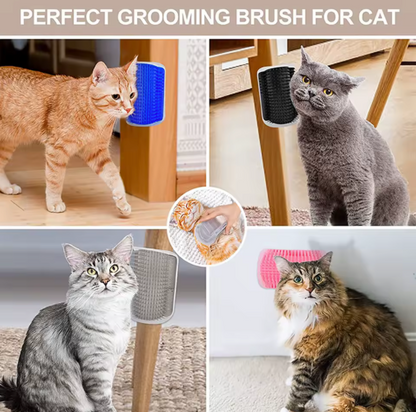 Cat Brush / Massager