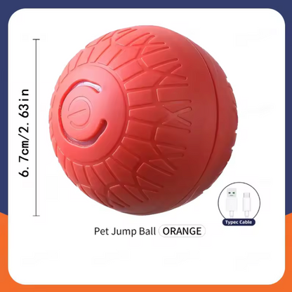 Electronic Toy Ball
