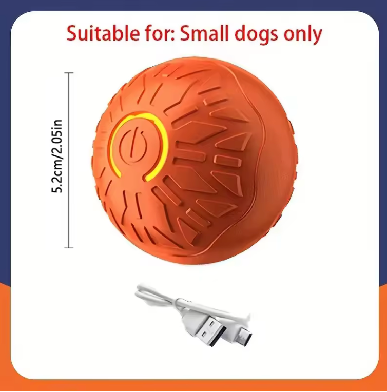 Electronic Toy Ball